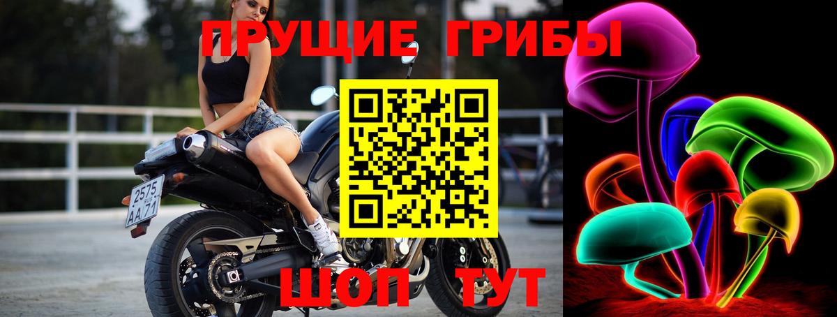 Псилоцибиновые грибы мухоморы Россошь