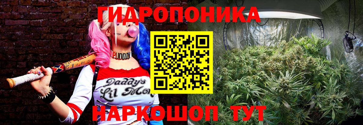 Канабис THC 21%  Шишки марихуана конопля  Вход с VPN  Россошь 